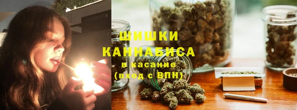 крисы Богородицк