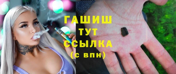 крисы Богородицк