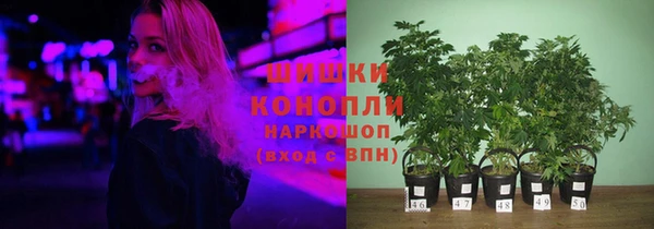 герыч Бородино
