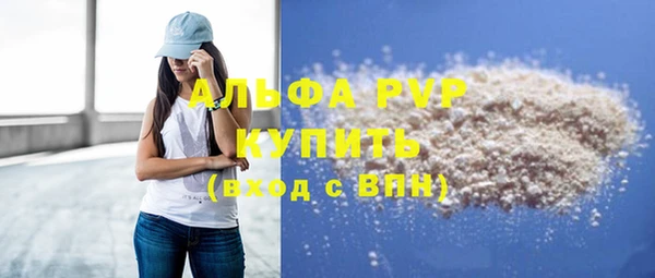 крисы Богородицк
