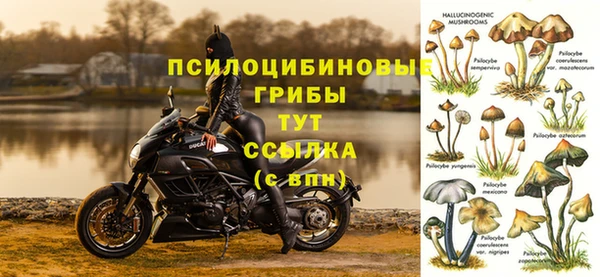 ГАЛЛЮЦИНОГЕННЫЕ ГРИБЫ Богородск