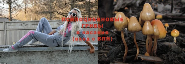 крисы Богородицк